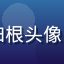 海角社区用户叶落归根头像，中年朴实男性用户